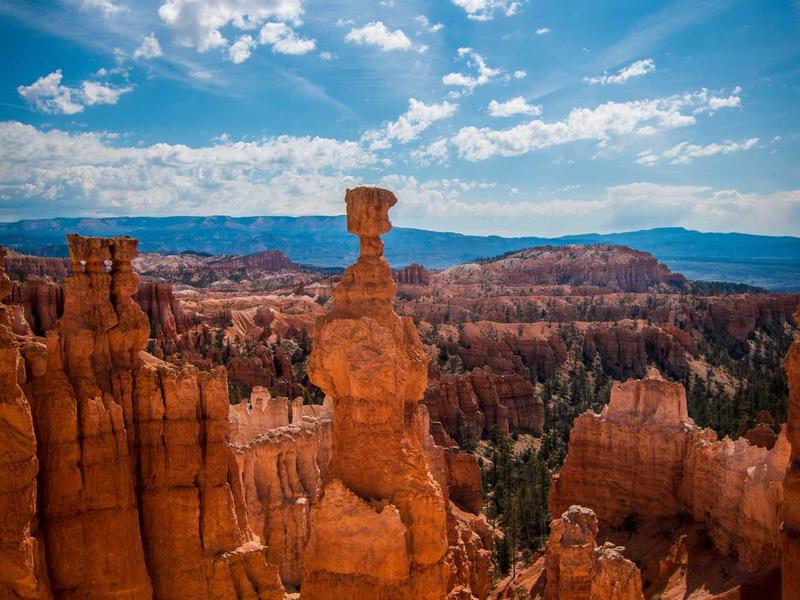 sudoku tricks screenshot 4