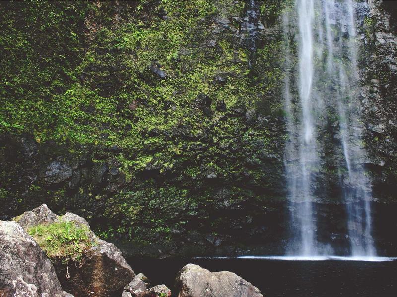 sudoku tricks screenshot 3