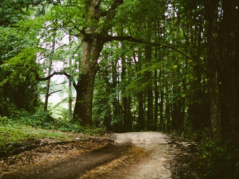 sudoku leaderboard screenshot 3