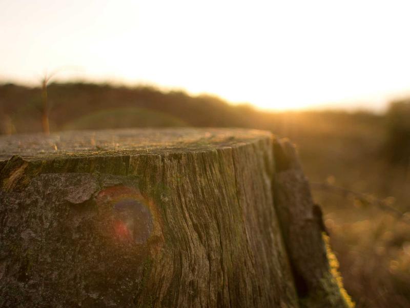 sudoku leaderboard screenshot 5